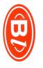 Logo TOP CARS BL