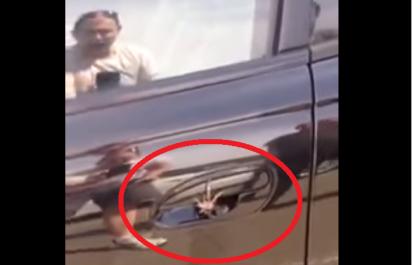 Video: Prekvapenie vo vonkajšej kľučke dverí!