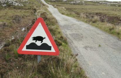 Top 20 najbizarnejších dopravných značiek, ktoré nepoznáte (1.diel)