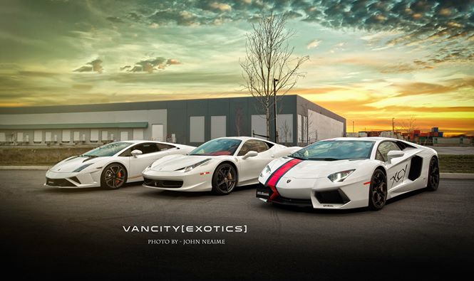 Automobilové brutality