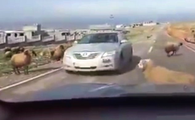 Aj v prípade nečakaných poistných udalostí sa postupuje rovnako. Táto patrí medzi tie menej vierohodné.