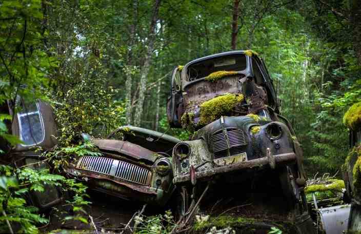 Bohatstvo ukryté v lese: Historické vozidlá v hodnote 120 tisíc eur