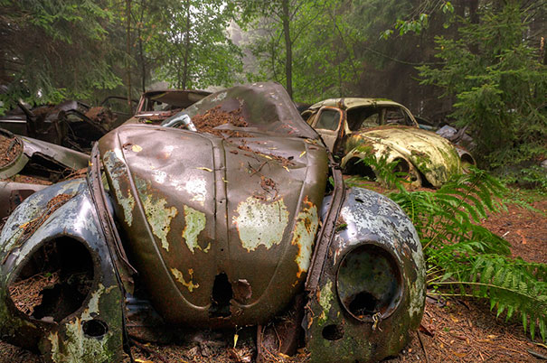 Bohatstvo ukryté v lese: Historické vozidlá v hodnote 120 tisíc eur