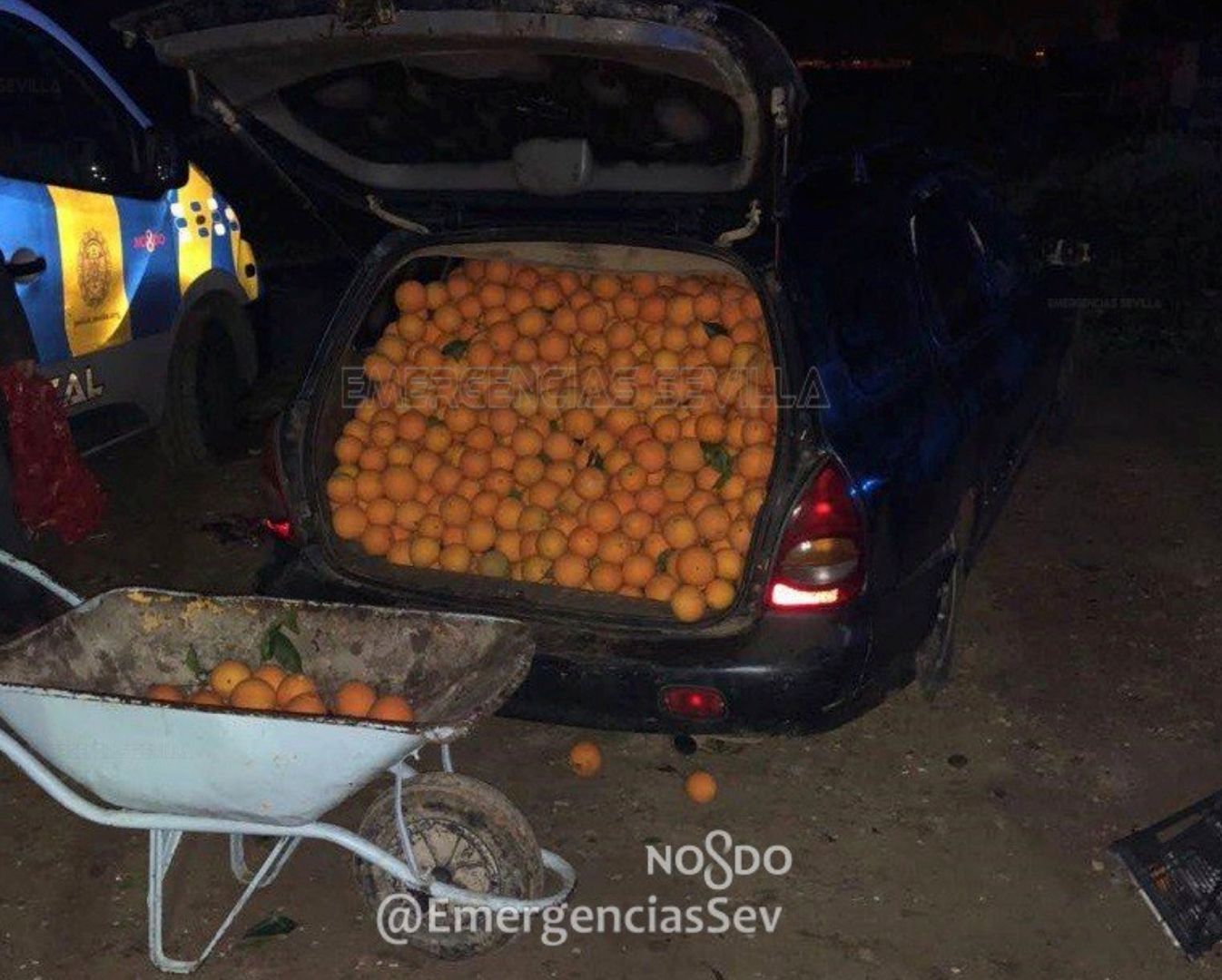 Netradičné použitie auta, na krádež 4 ton pomarančov!