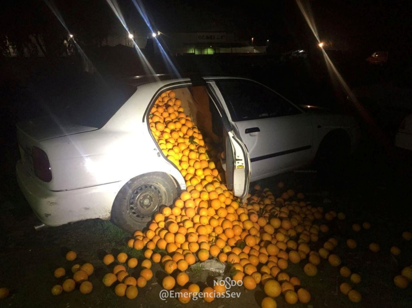 Netradičné použitie auta, na krádež 4 ton pomarančov!