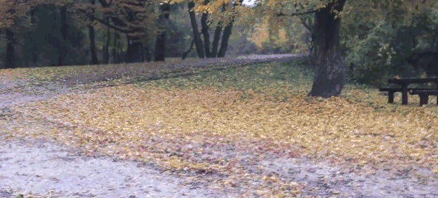 Na to, aby si zaujal nepotrebuješ superšportovú mašinu!