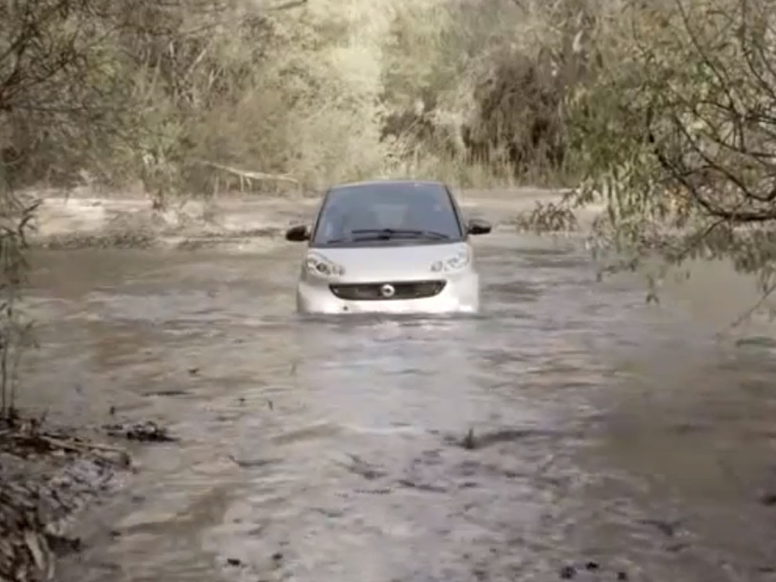 Smart ForTwo Offroad