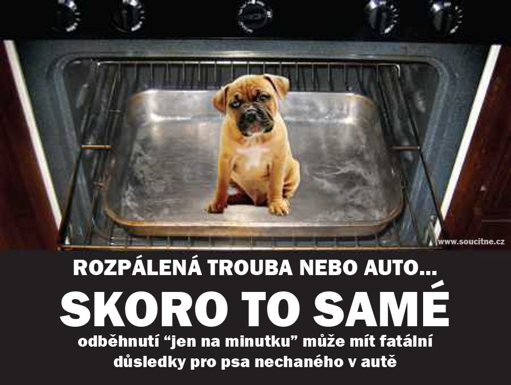 Užitočne rady: Horúčavy a jazda autom