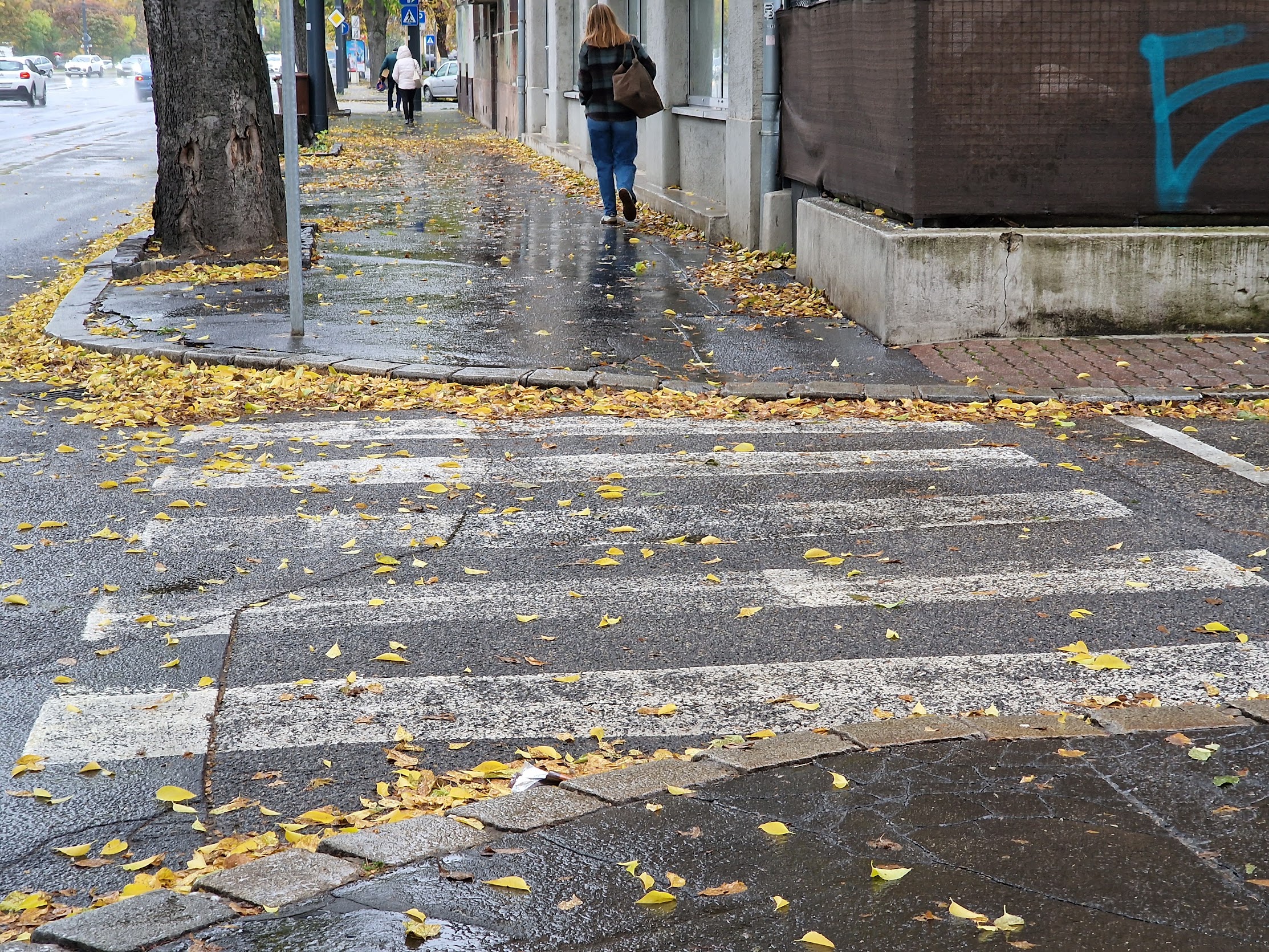 Autobazar.EU. Výhodný mix pre nehodu na motorke: stará zebra a mokré lístie