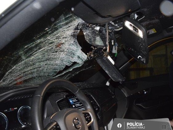 Na D3 pri ZA došlo k neobvyklej dopravnej nehode. Vodič Volva sa zrazil s letiacou labuťou. Aké nebezpečenstvo predstavuje zrážka so zvieraťom? Prečo sú zrážky nebezpečné bez ohľadu na veľkosť zvieraťa? Čo robiť po zrážke a ako postupovať podľa zákona?