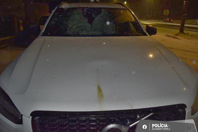 Na D3 pri ZA došlo k neobvyklej dopravnej nehode. Vodič Volva sa zrazil s letiacou labuťou. Aké nebezpečenstvo predstavuje zrážka so zvieraťom? Prečo sú zrážky nebezpečné bez ohľadu na veľkosť zvieraťa? Čo robiť po zrážke a ako postupovať podľa zákona?