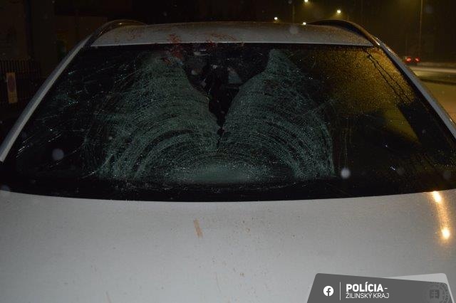 Na D3 pri ZA došlo k neobvyklej dopravnej nehode. Vodič Volva sa zrazil s letiacou labuťou. Aké nebezpečenstvo predstavuje zrážka so zvieraťom? Prečo sú zrážky nebezpečné bez ohľadu na veľkosť zvieraťa? Čo robiť po zrážke a ako postupovať podľa zákona?