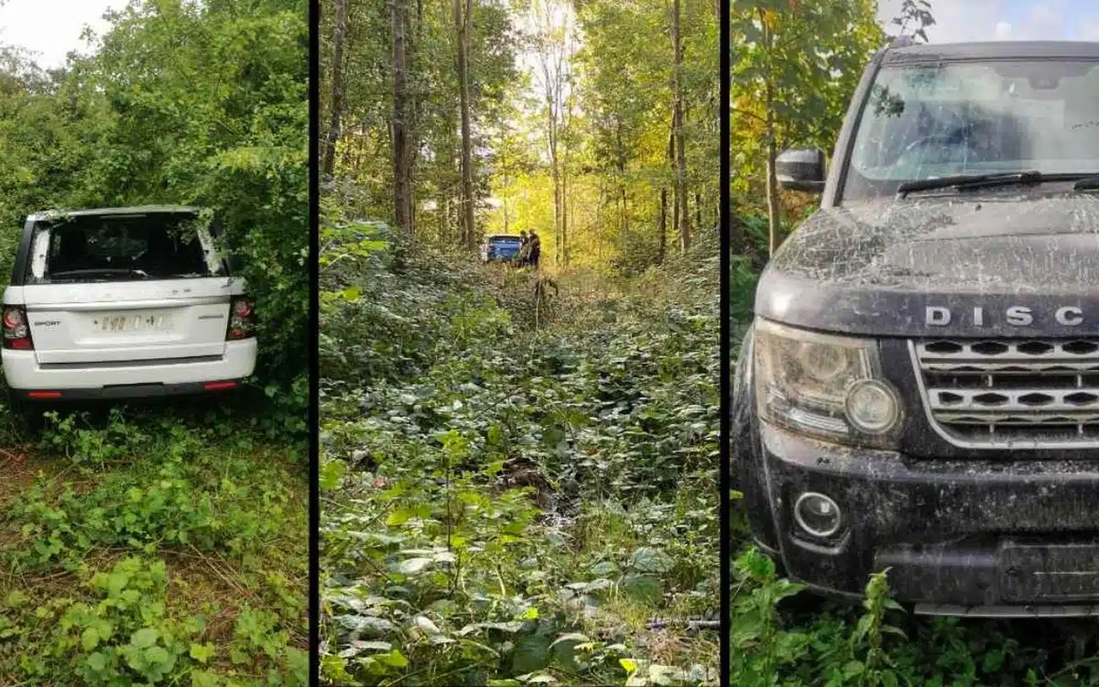 V lese našli 22 opustených Land Roverov, autá za milióny boli dostupné hocikomu