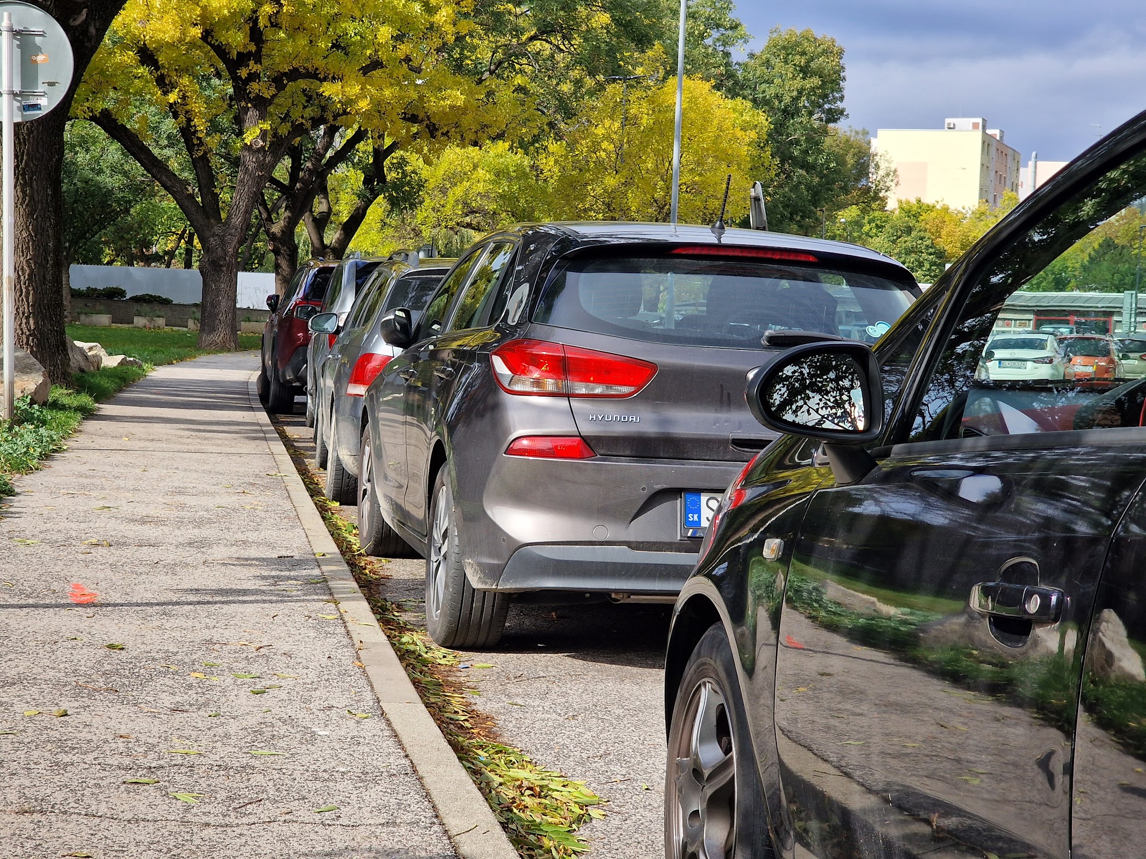Autobazar.EU. Pri parkovaní v exteriéri zvážte, či budete parkovať priamo pod stromami, na ktorých zvyknú sedávať vtáky. Riziko poškodenia laku nie je len povera