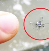 Video: Perfektný spôsob ako opraviť prasklinu na skle auta! 