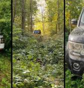 V lese našli 22 opustených Land Roverov, autá za milióny boli dostupné hocikomu