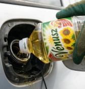 Niektorí motoristi začínajú pre nedostatok nafty experimentovať. Riskantný hazard s rastlinným olejom, sa im môže kruto vypomstiť