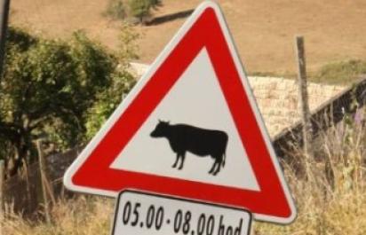 Bizarné značky na cestách