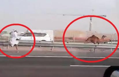 Video: Všetko je možné v Abu Dhabi!