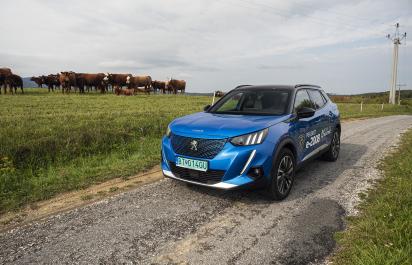 Test: Peugeot e-2008 - Elektrický chill