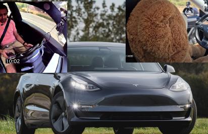 Tesla monitoring nerozozná vodiča od plyšového medveďa!