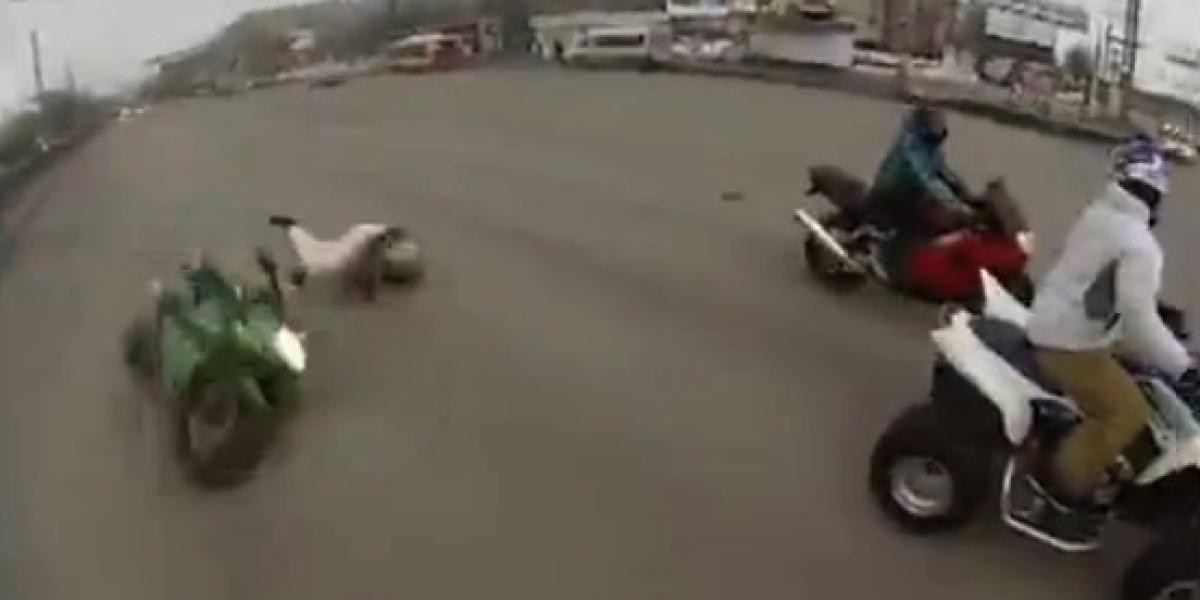 Video: Darcovia orgánov vyrazili na cesty