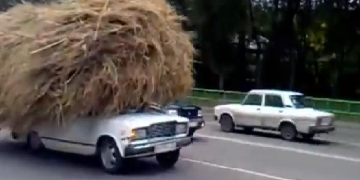 Video: Ruskí šialenci 