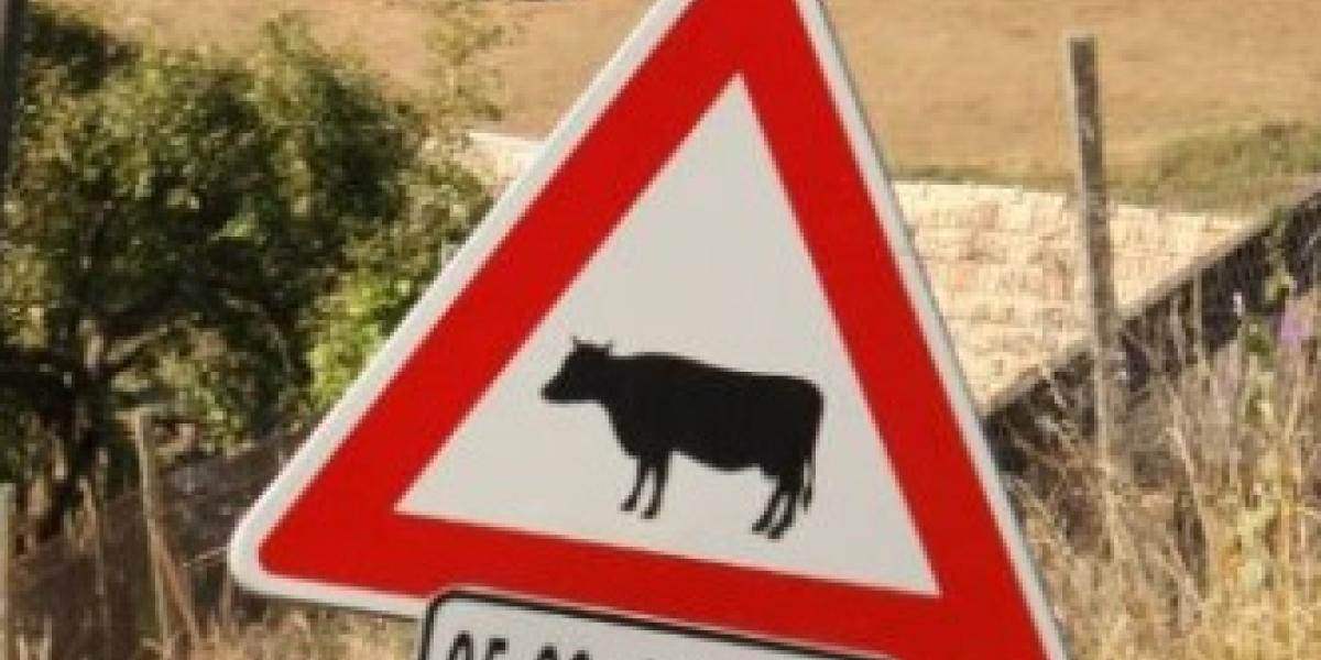 Bizarné značky na cestách