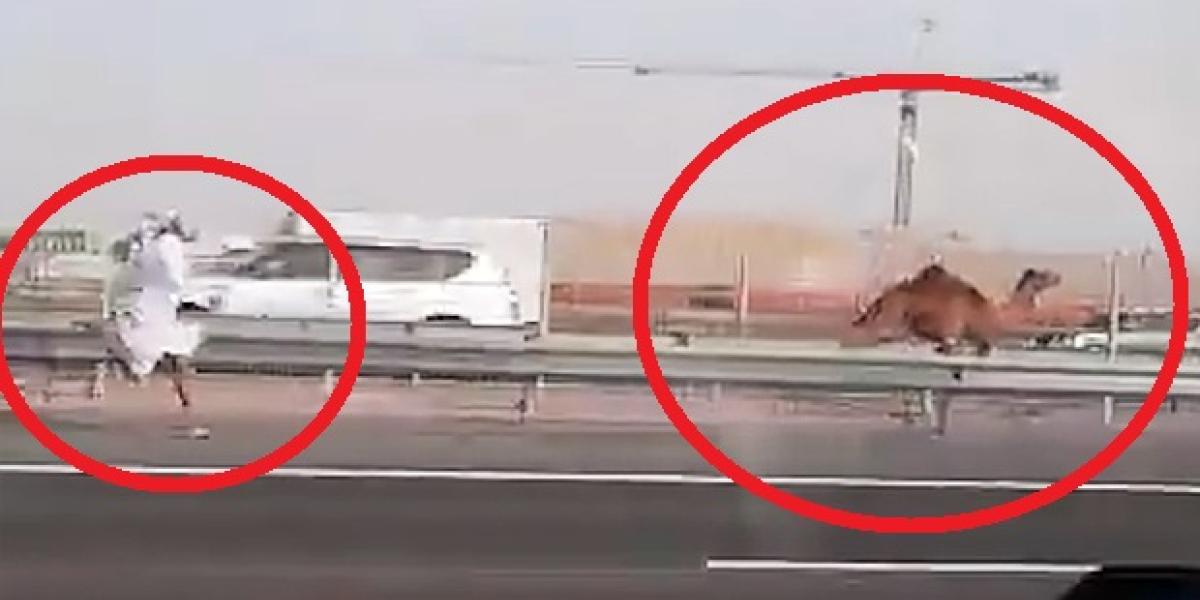Video: Všetko je možné v Abu Dhabi!