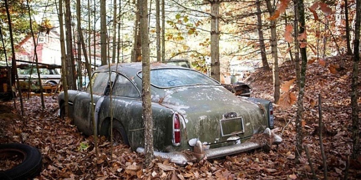 Hrdzavé auto z lesa za 350 000€? Realita!