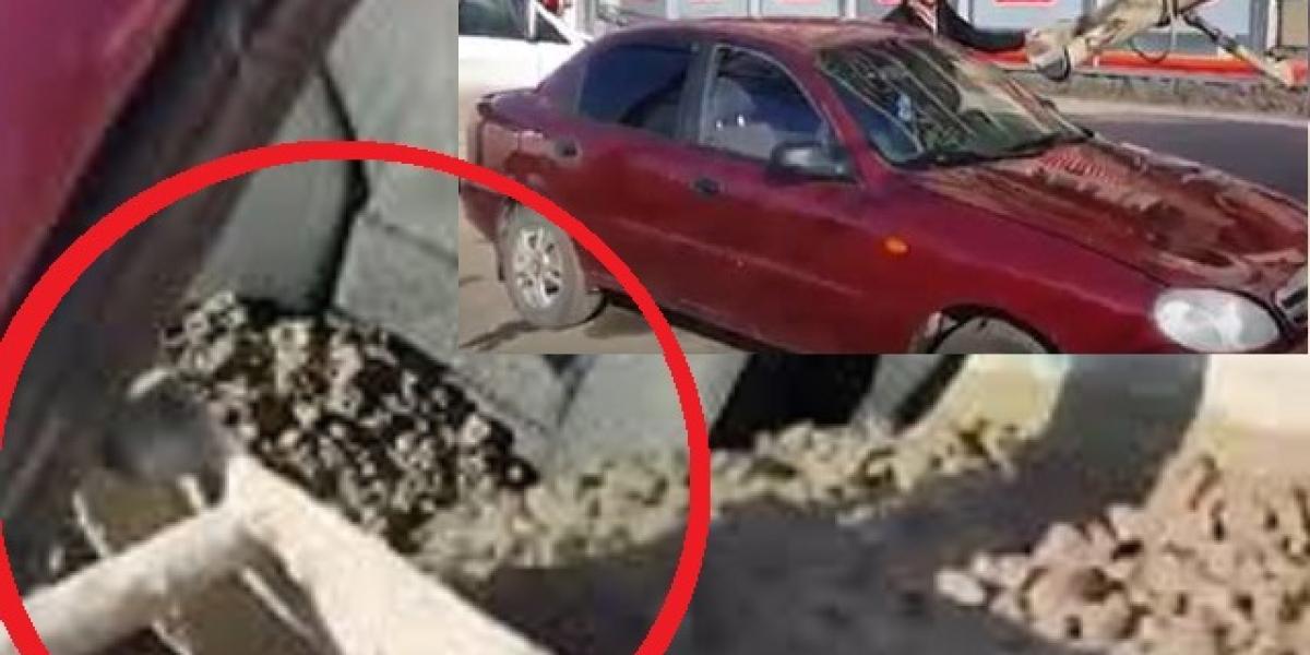 Video: Pomsta po rusky- horšia ako krádež! 