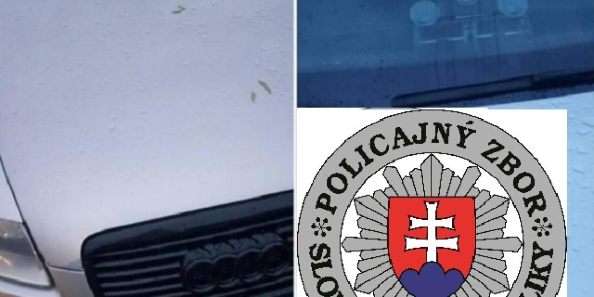 Pozor / Polícia varuje: Na Slovensku úraduje falošný policajt!