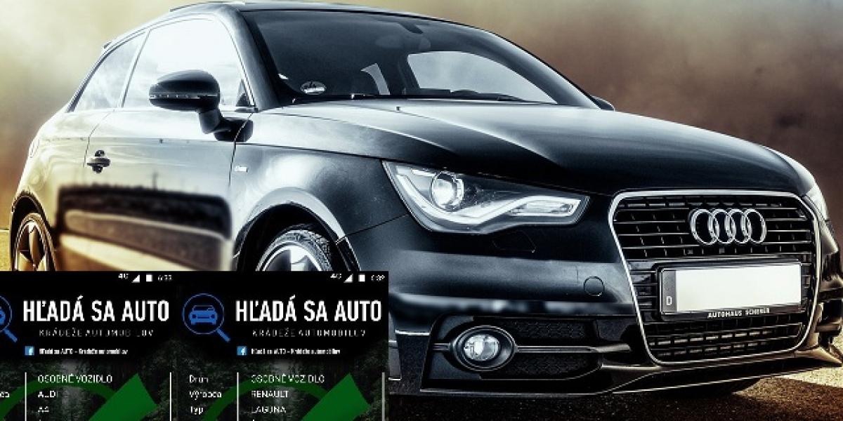 Slováci hľadajú kradnuté autá sami: Haka - viac ako 100 000 členov