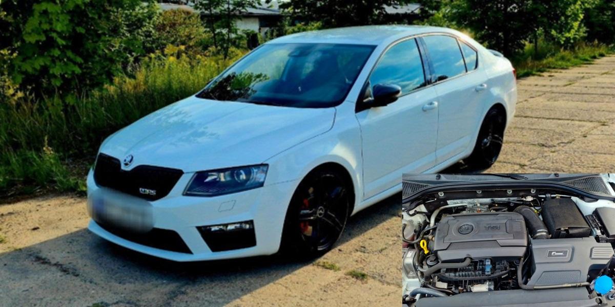 Škoda Octavia RS delo: 600-koňový kat superšportov!