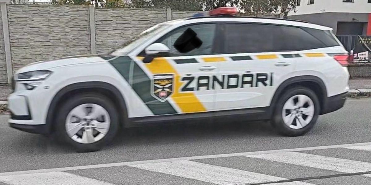 Čo na ne poviete? Takto vyzerajú nové autá slovenských žandárov