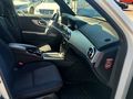 Mercedes GLK 220 CDI BLUE 4MATIC A/T